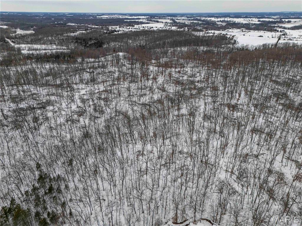 345 Quarry Road Silex, MO 63377 - Photo 60 of 80