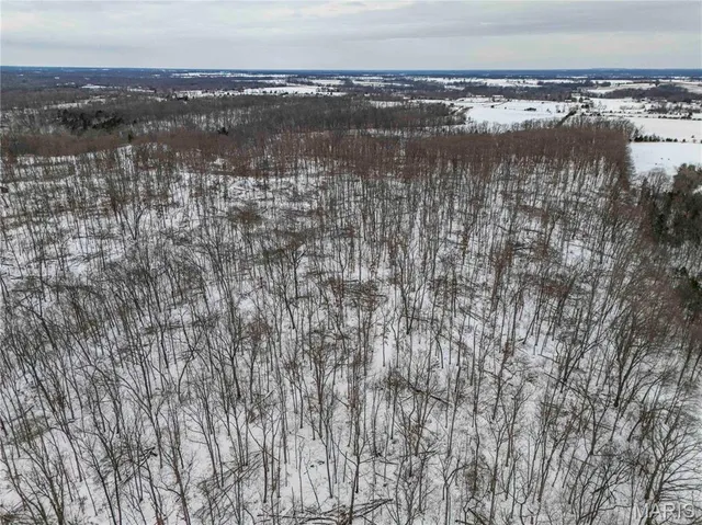 $1 | 345 Quarry Road, Silex, MO 63377