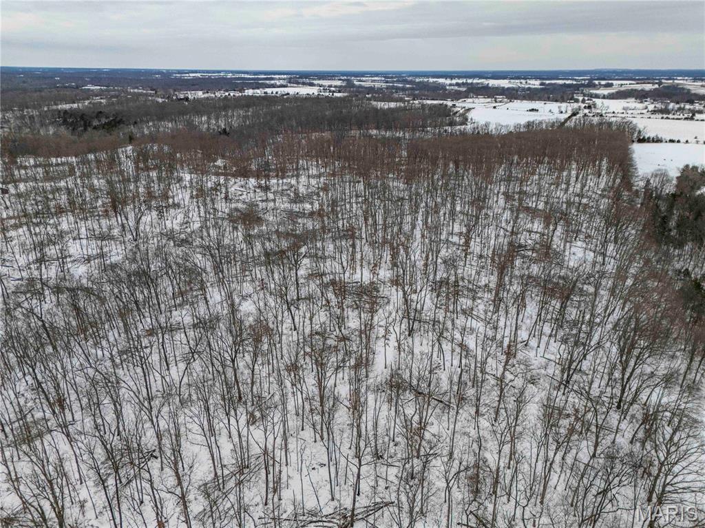 345 Quarry Road Silex, MO 63377 - Photo 61 of 80