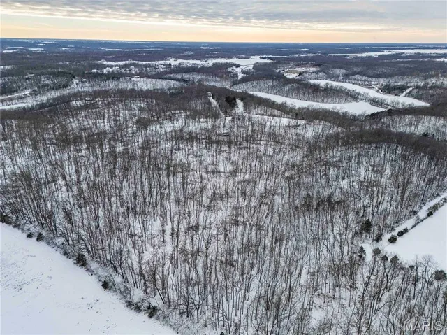 $1 | 345 Quarry Road, Silex, MO 63377