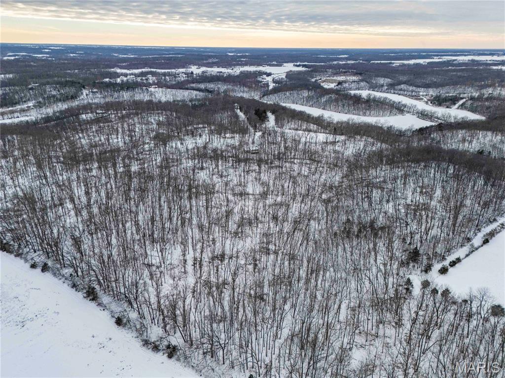 345 Quarry Road Silex, MO 63377 - Photo 62 of 80