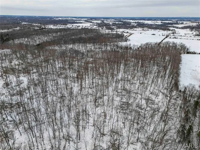 $1 | 345 Quarry Road, Silex, MO 63377