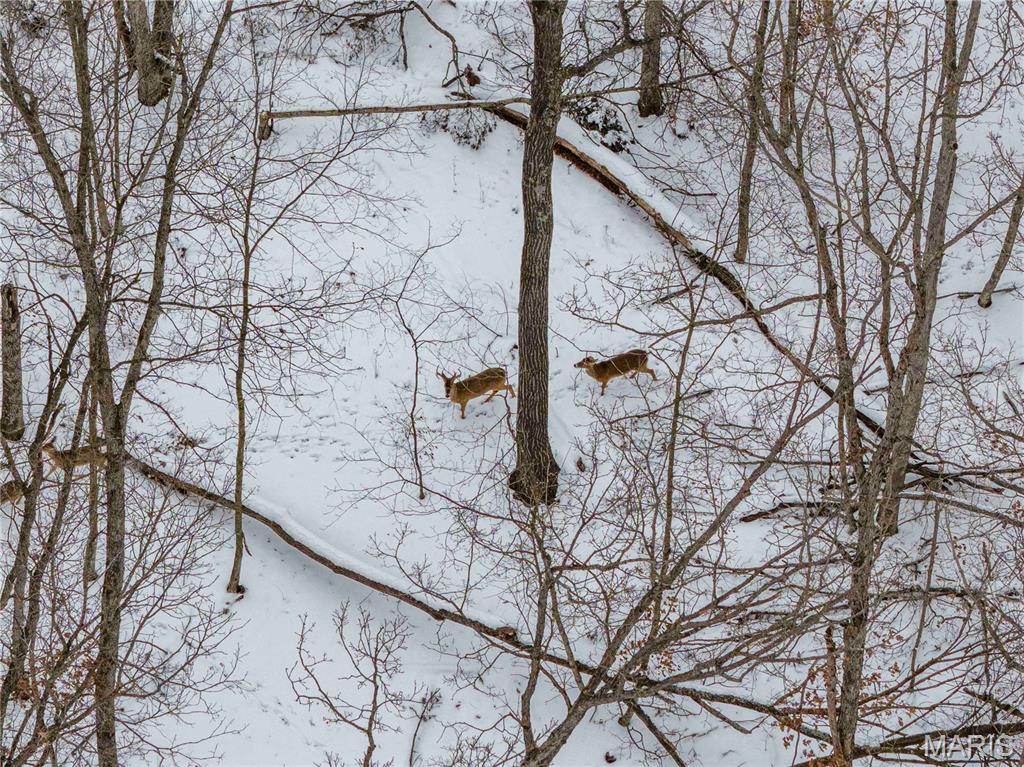 345 Quarry Road Silex, MO 63377 - Photo 74 of 80