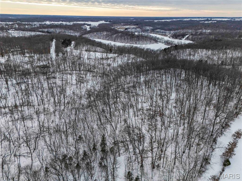 345 Quarry Road Silex, MO 63377 - Photo 75 of 80