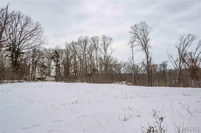 $1 | 345 Quarry Road, Silex, MO 63377