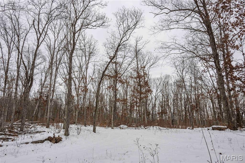 345 Quarry Road Silex, MO 63377 - Photo 77 of 80