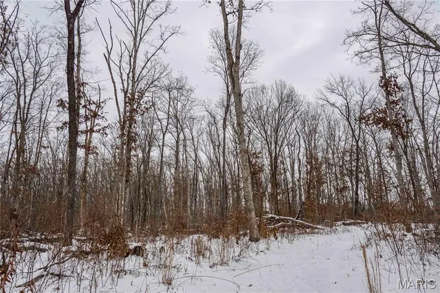$1 | 345 Quarry Road, Silex, MO 63377