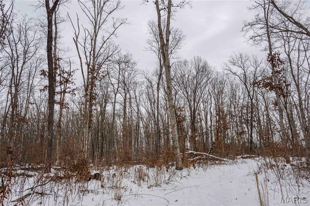 345 Quarry Road Silex, MO 63377 - Photo 78 of 80