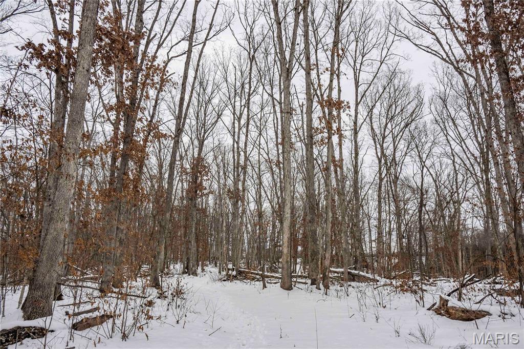 345 Quarry Road Silex, MO 63377 - Photo 79 of 80