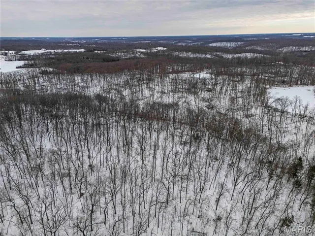 $1 | 345 Quarry Road, Silex, MO 63377