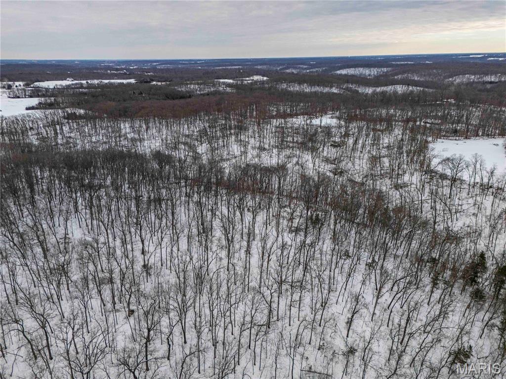 345 Quarry Road Silex, MO 63377 - Photo 80 of 80