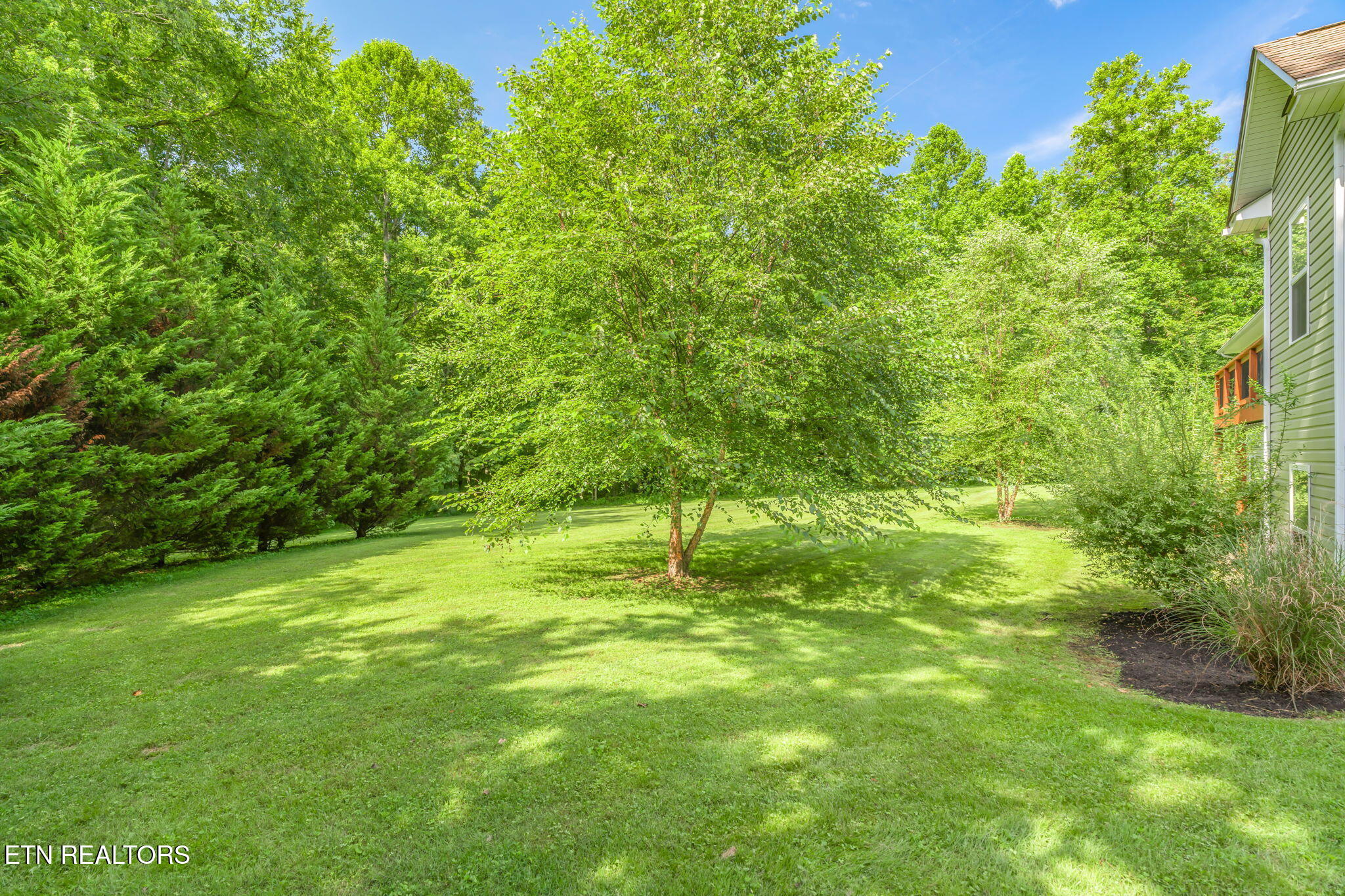 179 Champ West Road Helenwood, TN 37755 - Photo 37 of 46 61-web-or-mls-179 Champ West Road-62