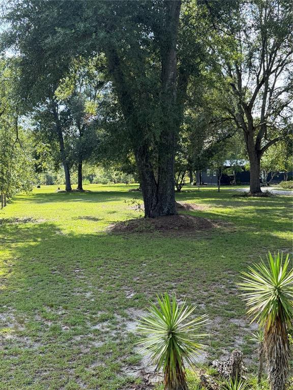 5649 209th Road Live Oak, FL 32060 - Photo 4 of 62 Gallery Image 4