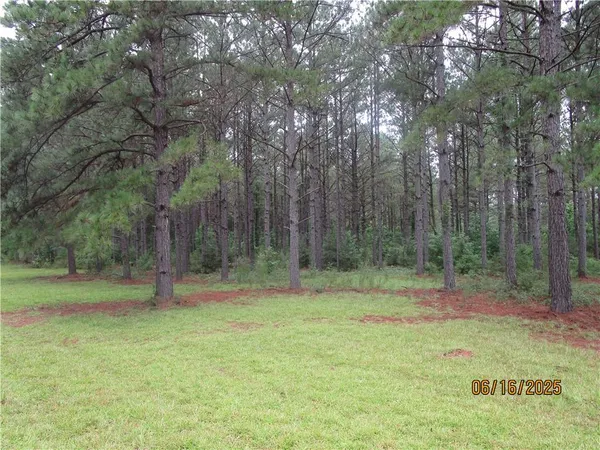 $575,000 | 7986 Highway 8, Colfax, LA 71417