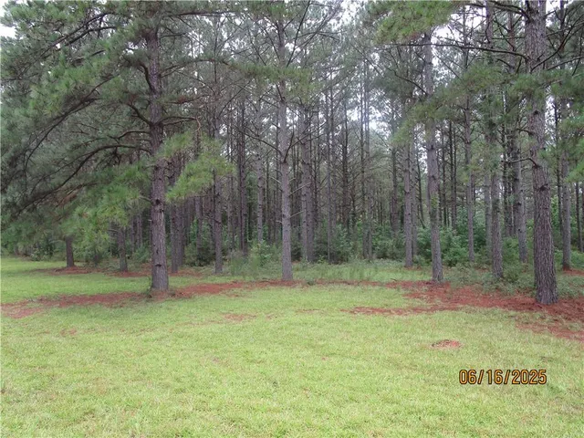 $650,000 | 7986 Highway 8, Colfax, LA 71417