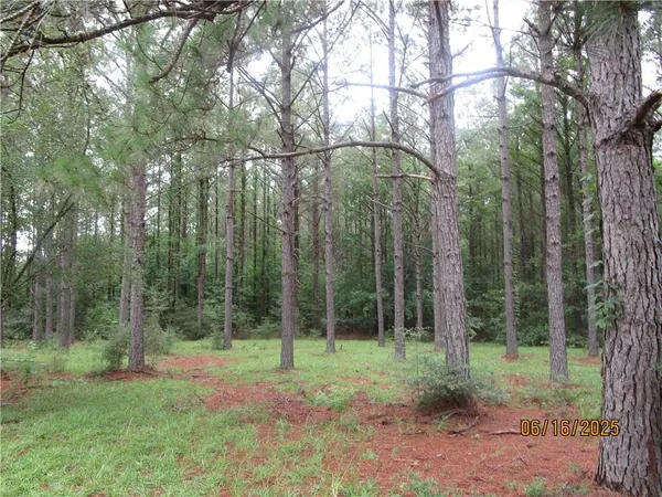 $575,000 | 7986 Highway 8, Colfax, LA 71417