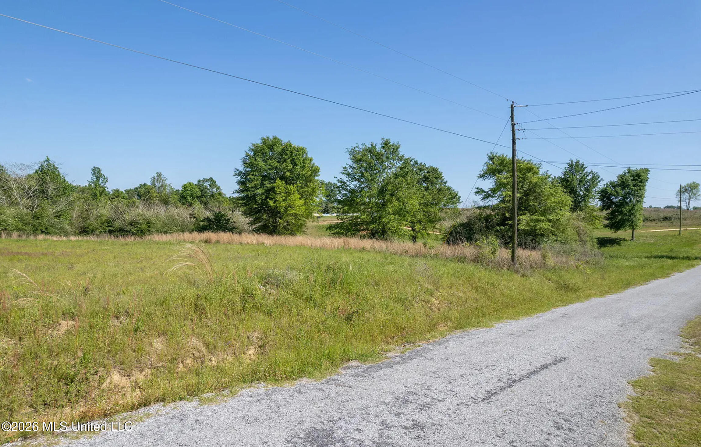 Pine View Road Collins, MS 39428 - Photo 5 of 10 2026-09-14_08-52-26