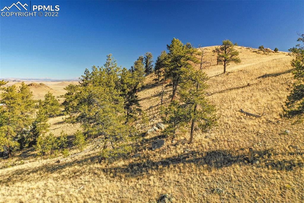 200 Loft Way Hartsel, CO 80449 - Photo 12 of 19 a view of a large building