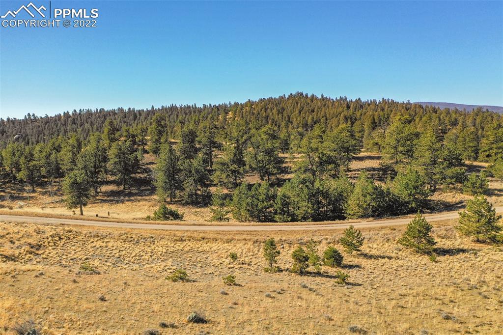 200 Loft Way Hartsel, CO 80449 - Photo 14 of 19 a view of a large yard
