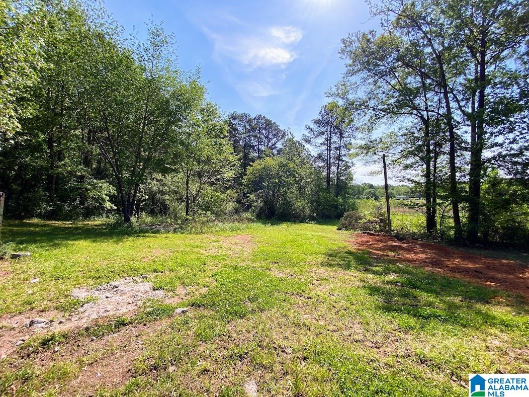 595 McElderry Road North Munford, AL 36268 - Photo 11 of 49