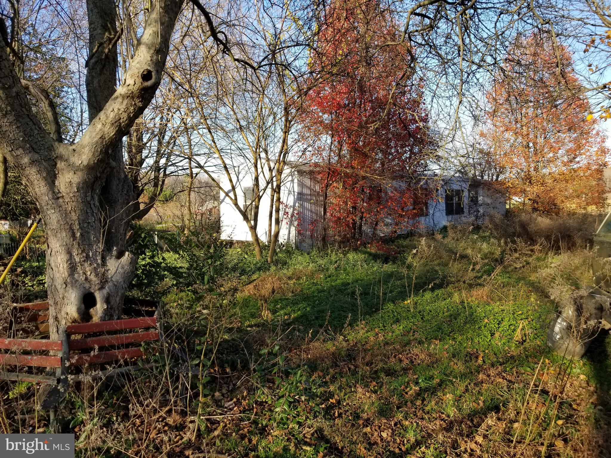 3942-3946 Poplar Neck Road Preston, MD 21655 - Photo 4 of 11 2 separate parcels - 1 has mobile home in place