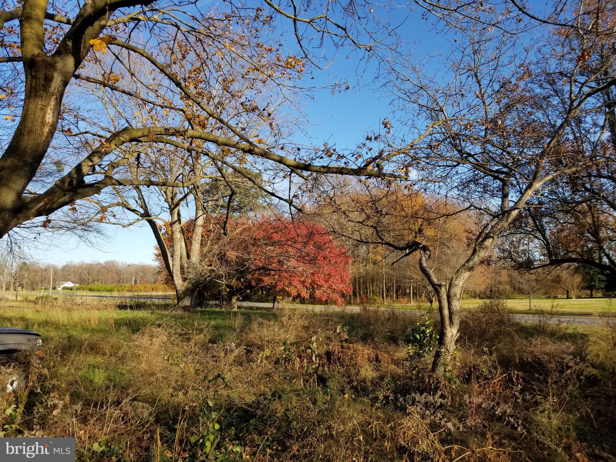 3942-3946 Poplar Neck Road Preston, MD 21655 - Photo 10 of 11 View from house to road