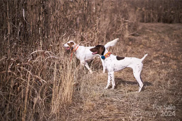 $17,500,000 | 229 Joseph Kershaw Road, Eastover, SC 29044