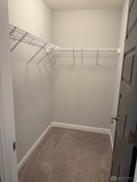 3 Mill Run Place Springfield, OH 45502 - Photo 32 of 59 Master closet
