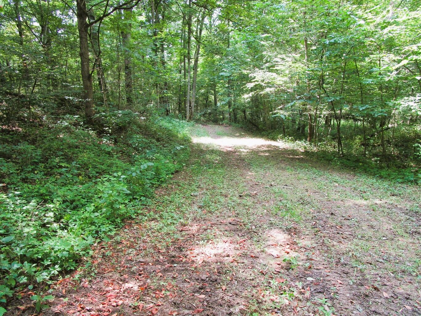 11.5-ac Osborne Road Dry Ridge, KY 41035 - Photo 25 of 38 Osborne 25