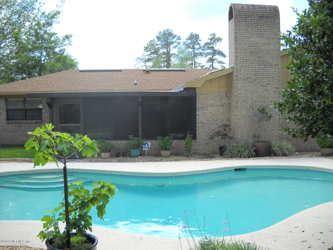 9159 Latimer Road West Jacksonville, FL 32257 - Photo 25 of 26 Pool / Back of Home