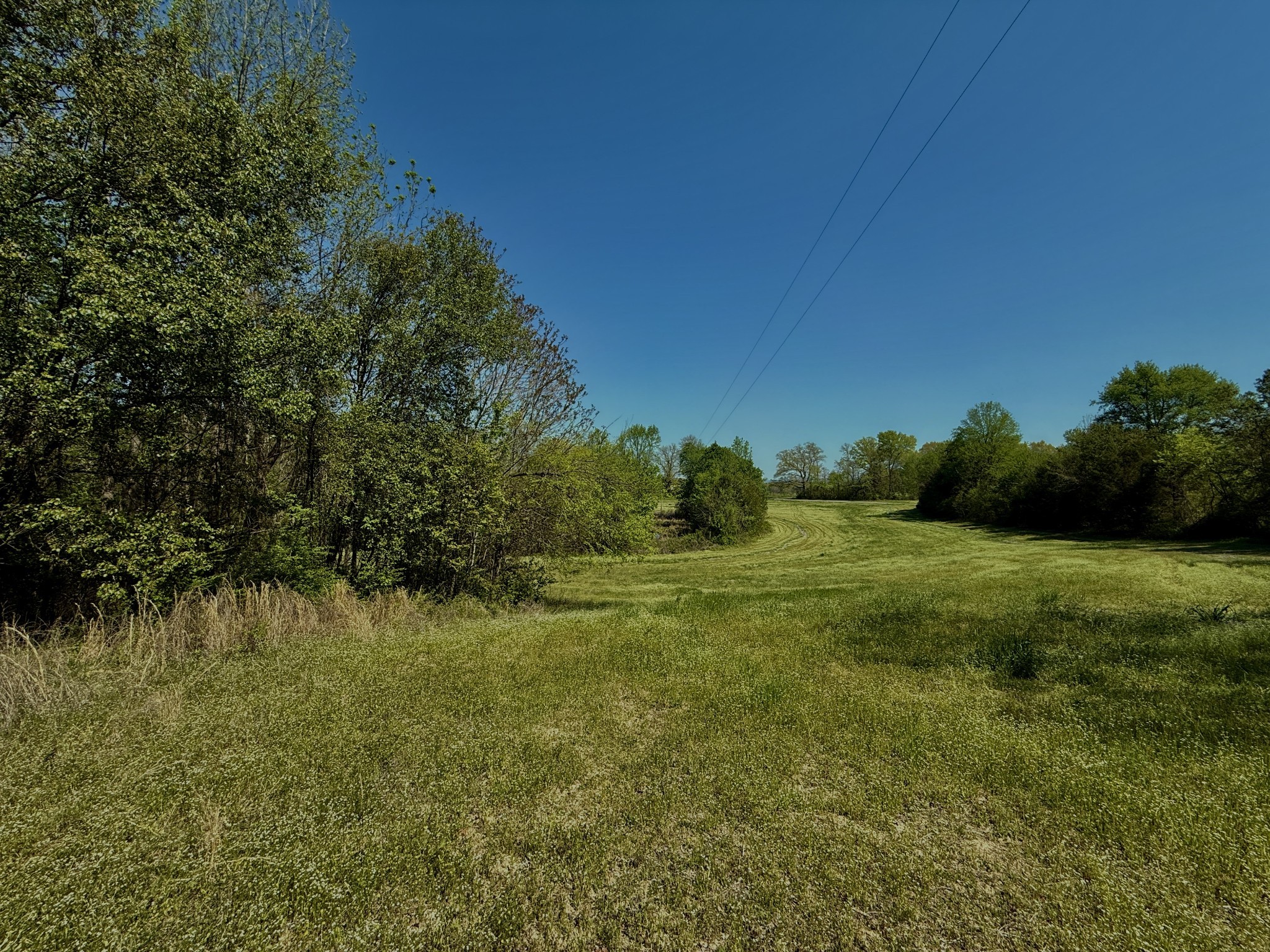 1160 Kermet Turner Road Rock Island, TN 38581 - Photo 12 of 27