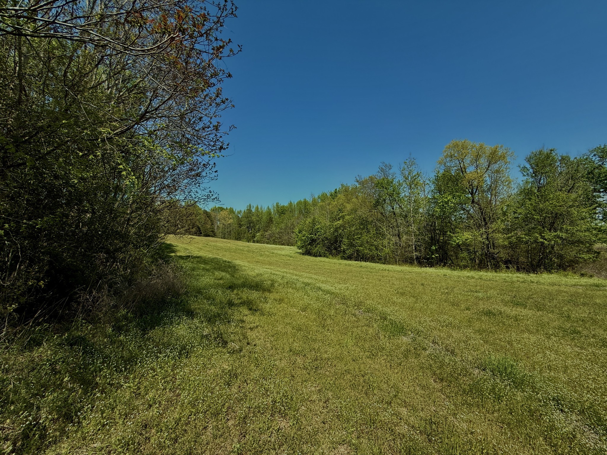1160 Kermet Turner Road Rock Island, TN 38581 - Photo 13 of 27