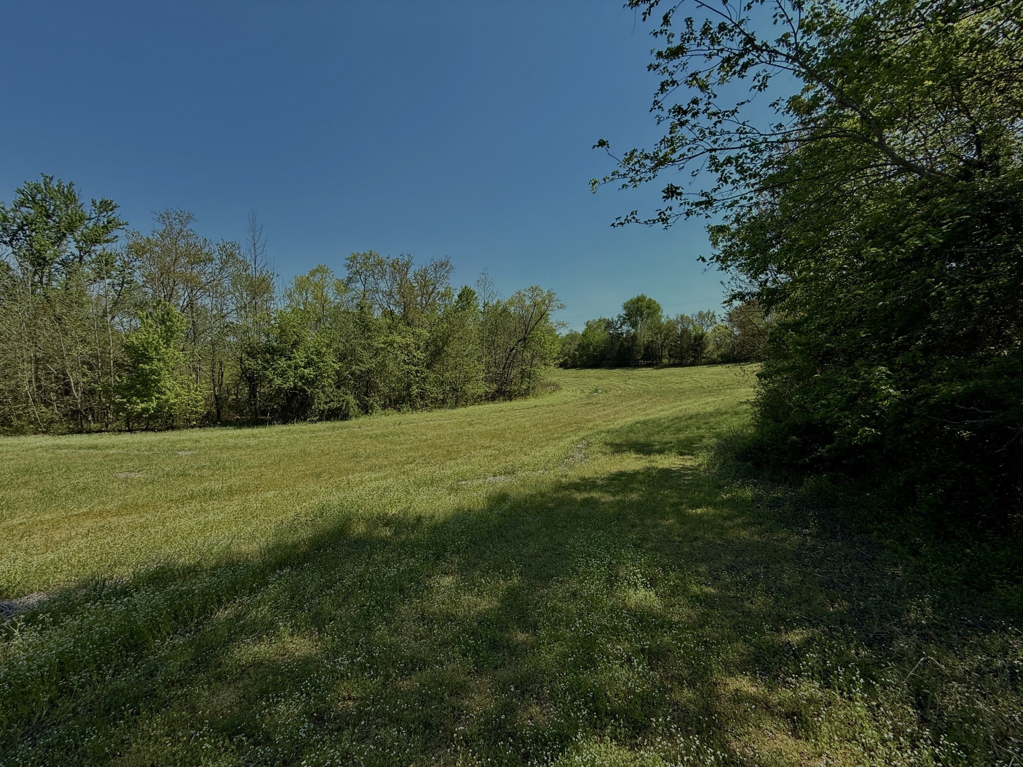 1160 Kermet Turner Road Rock Island, TN 38581 - Photo 15 of 27
