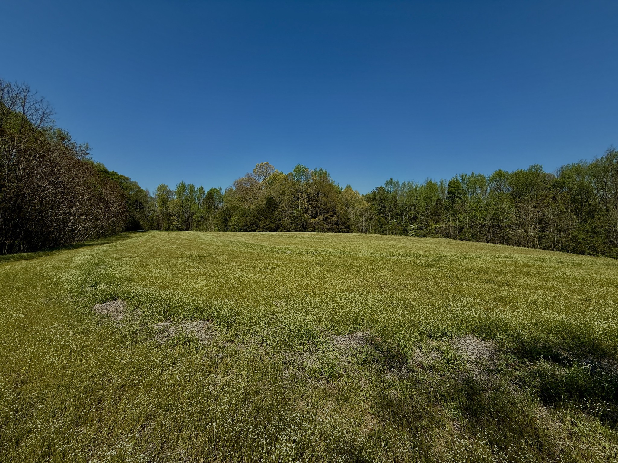 1160 Kermet Turner Road Rock Island, TN 38581 - Photo 16 of 27