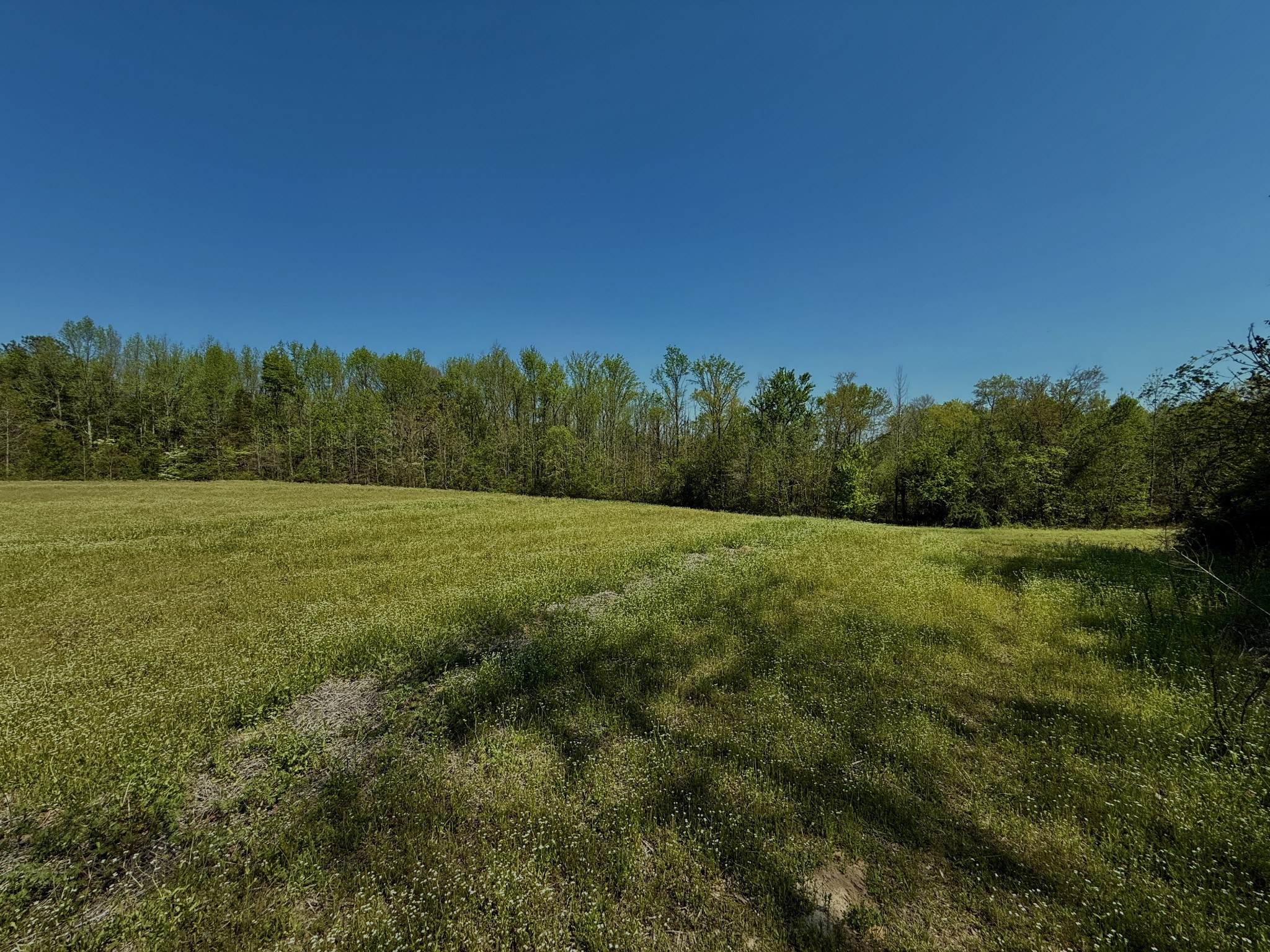 1160 Kermet Turner Road Rock Island, TN 38581 - Photo 17 of 27