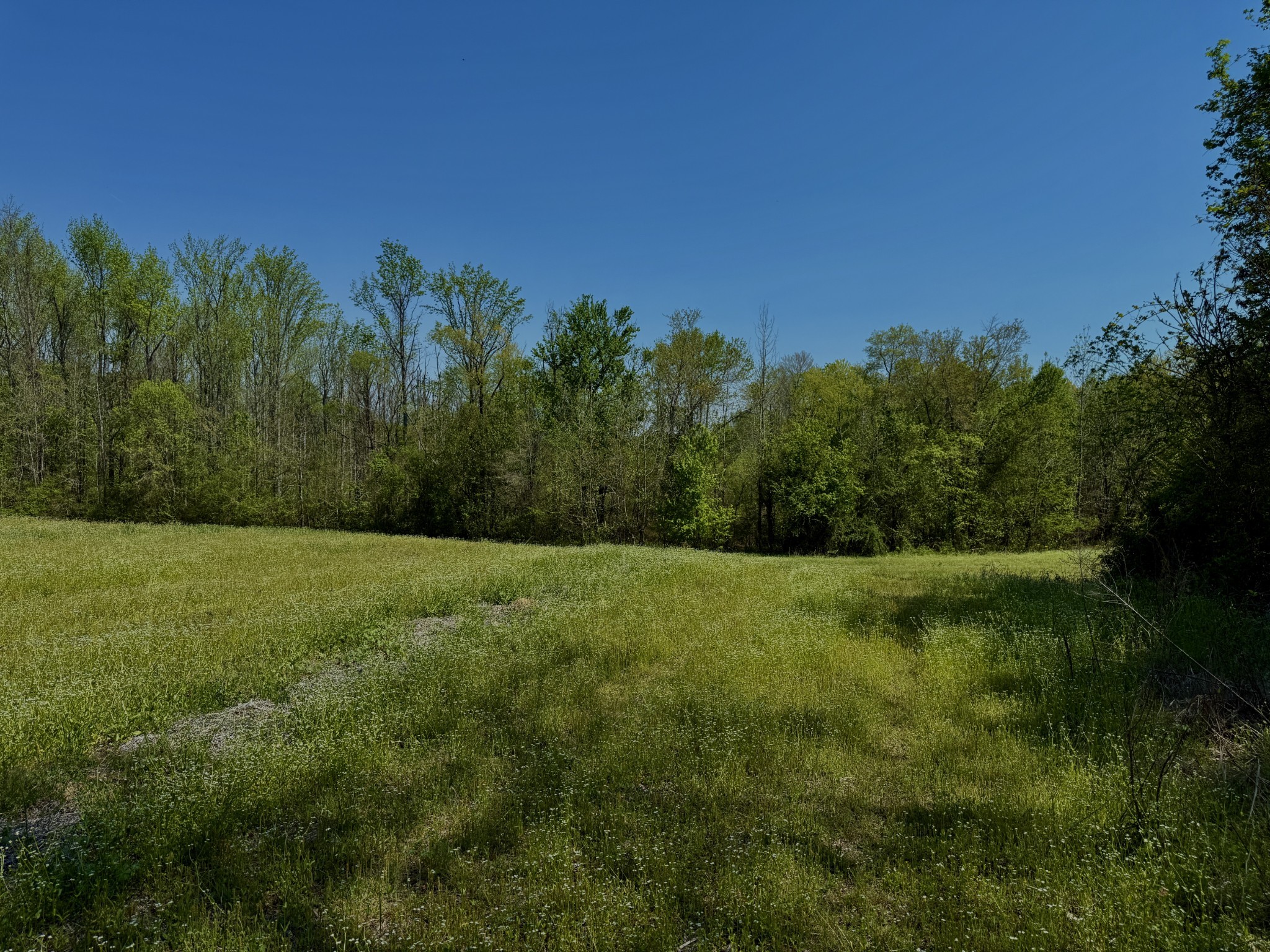 1160 Kermet Turner Road Rock Island, TN 38581 - Photo 18 of 27