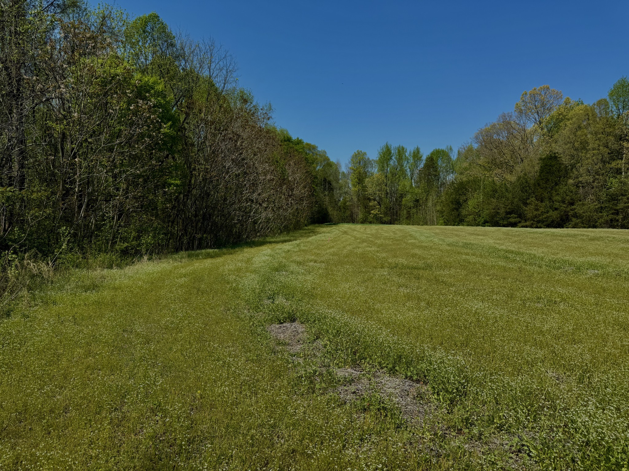 1160 Kermet Turner Road Rock Island, TN 38581 - Photo 19 of 27
