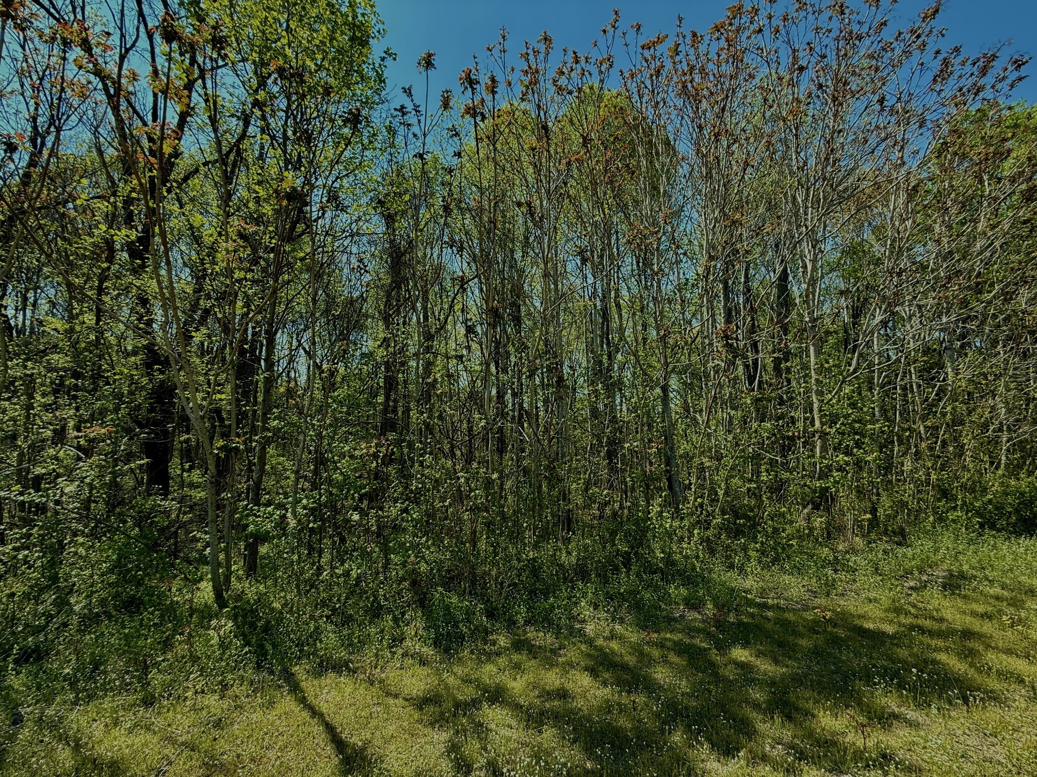 1160 Kermet Turner Road Rock Island, TN 38581 - Photo 20 of 27