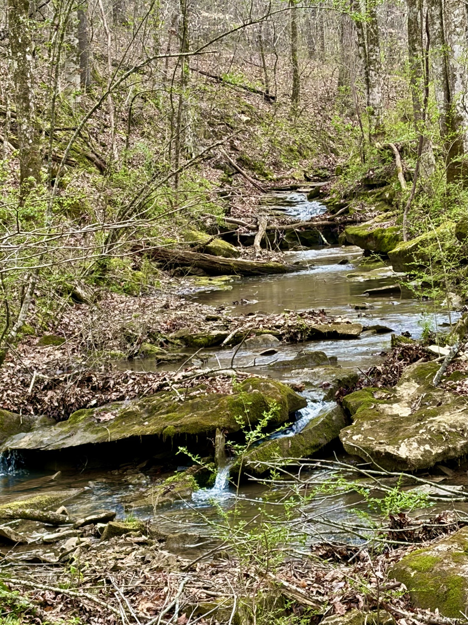 1160 Kermet Turner Road Rock Island, TN 38581 - Photo 2 of 27