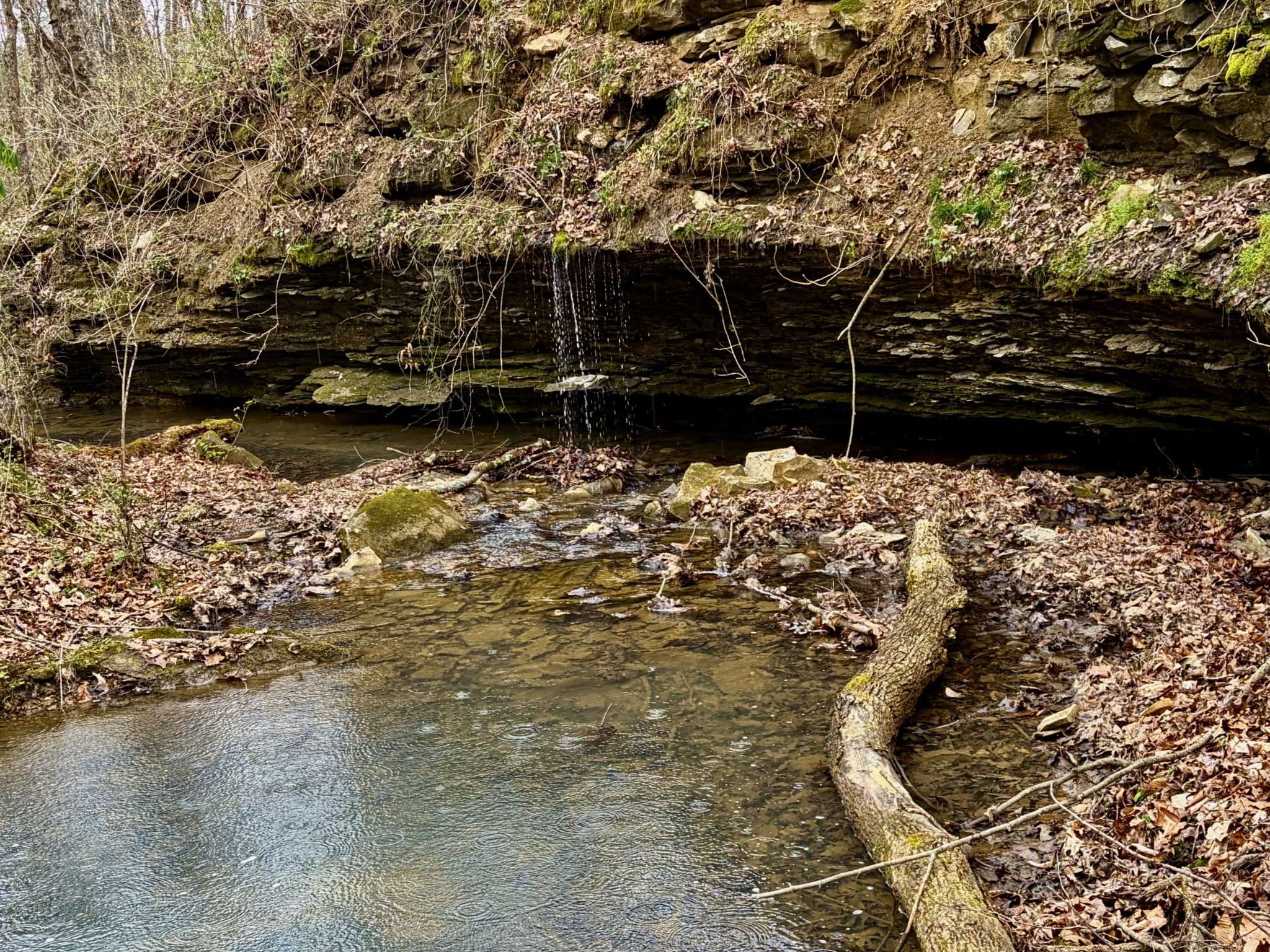 1160 Kermet Turner Road Rock Island, TN 38581 - Photo 3 of 27