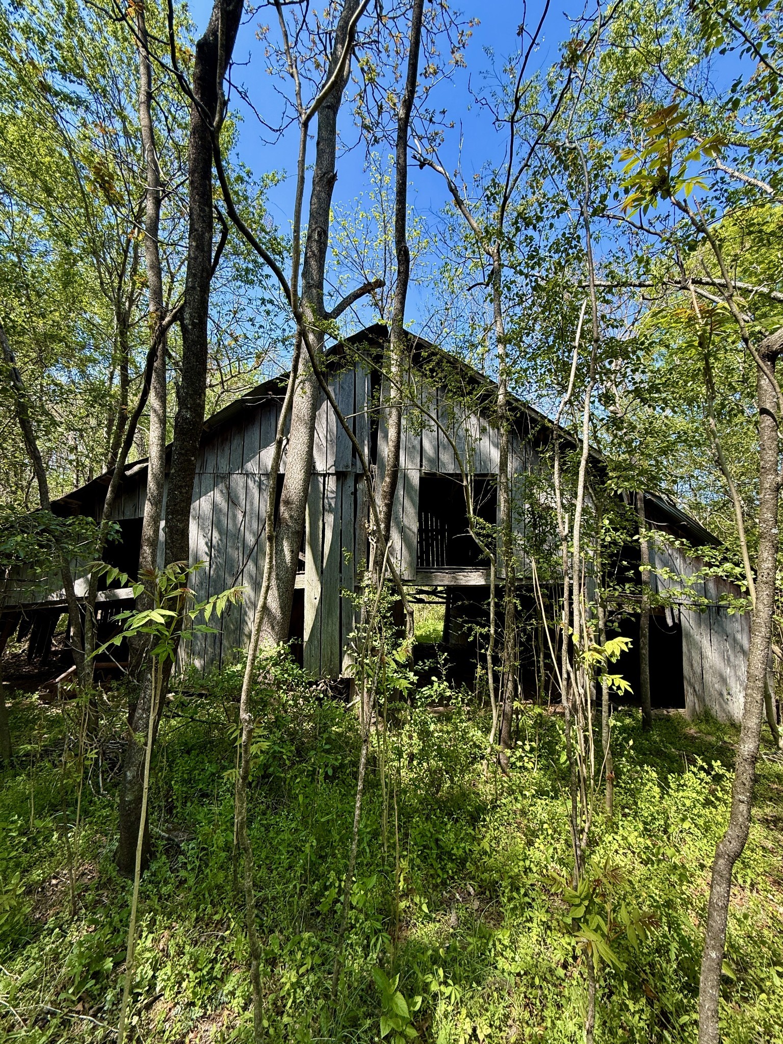 1160 Kermet Turner Road Rock Island, TN 38581 - Photo 5 of 27