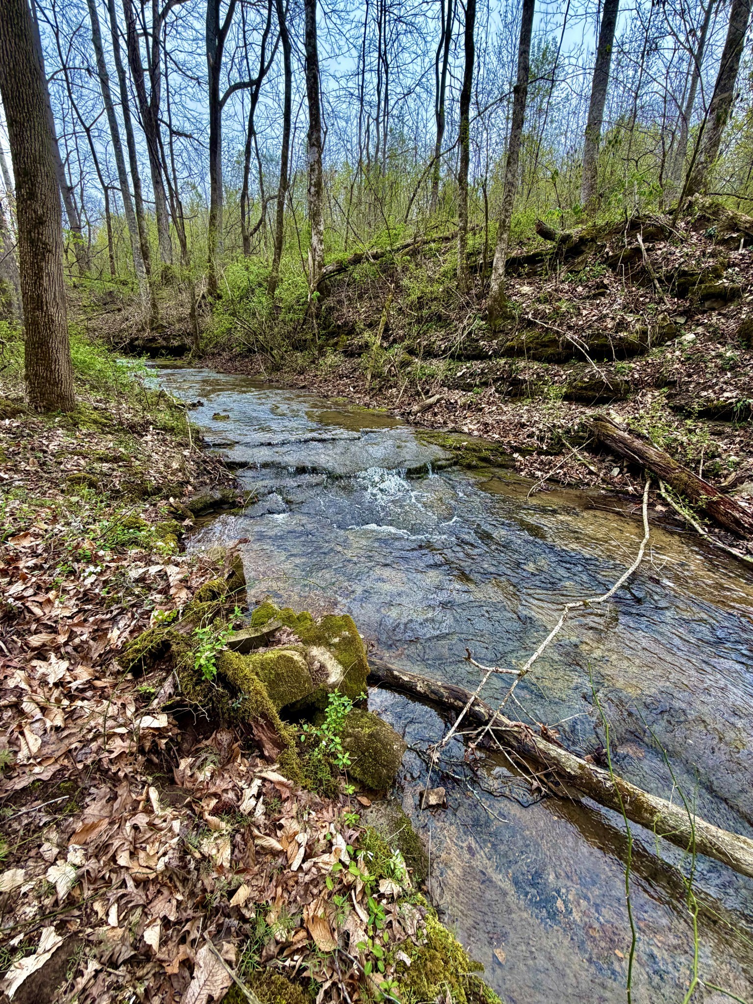 1160 Kermet Turner Road Rock Island, TN 38581 - Photo 6 of 27