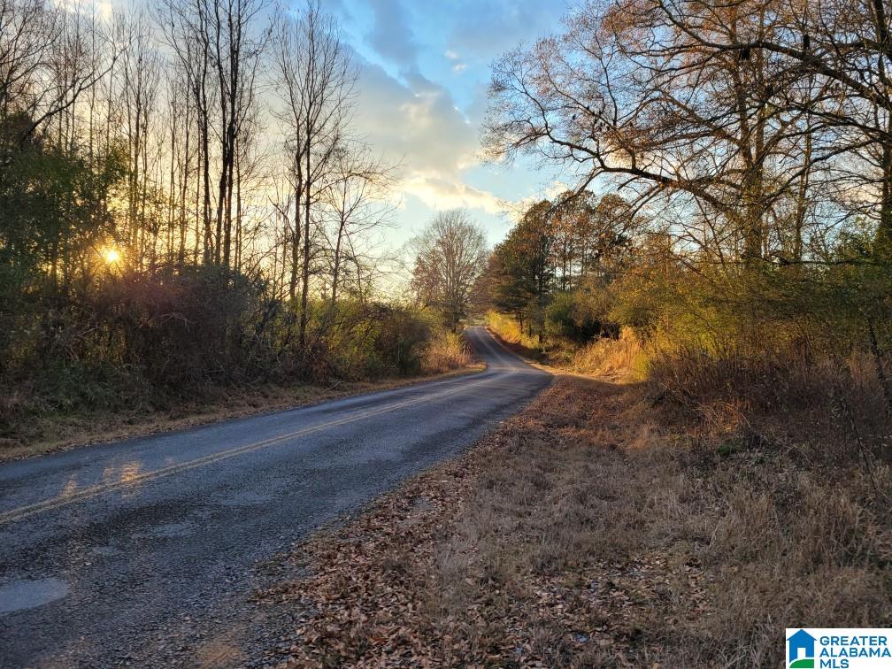 2194 County Road 818 Logan, AL 35098 - Photo 6 of 8