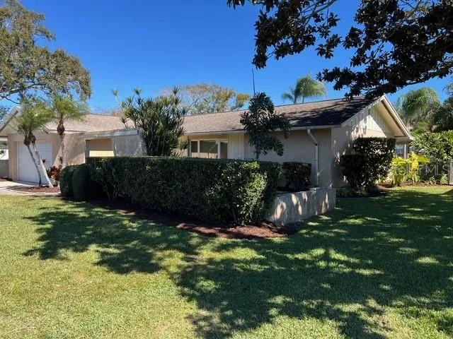 a view of a small garden