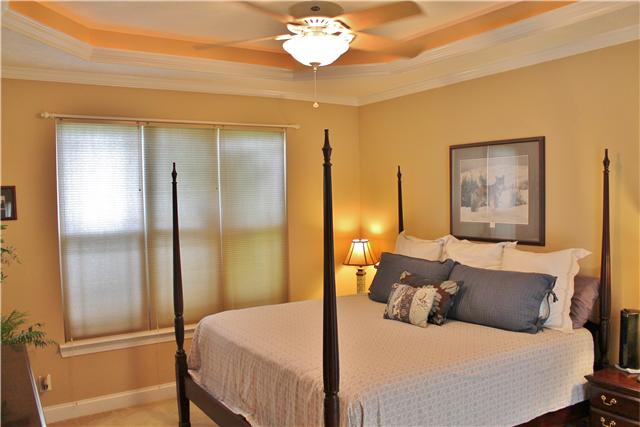 1377 Woods Ferry Road Lebanon, TN 37087 - Photo 8 of 16 Master bedroom with trey ceilings