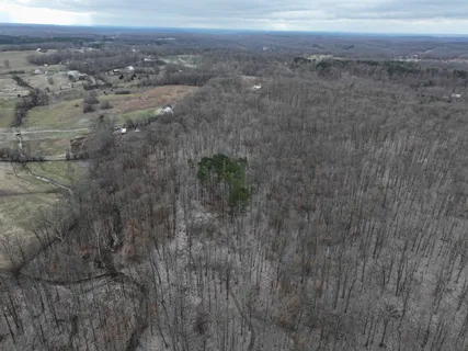 a view of a dry yard