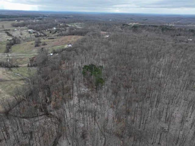 a view of a dry yard