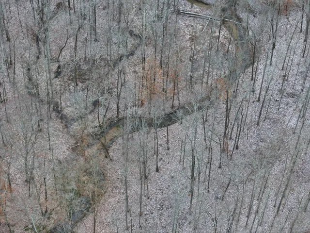 $267,000 | 6072 New Highway 7, Santa Fe, TN 38482