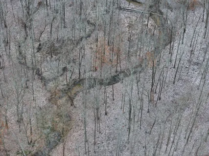 $263,000 | 6072 New Highway 7, Santa Fe, TN 38482