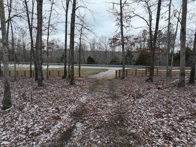 a view of park with tree